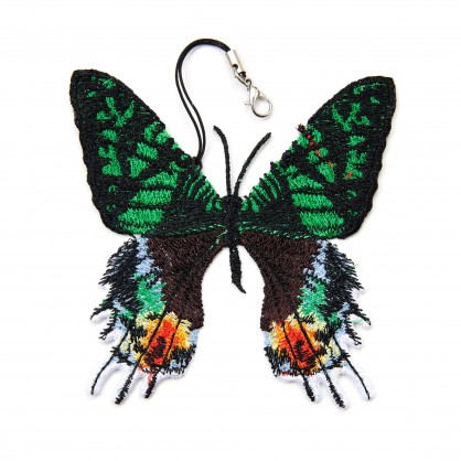 urania ripheus - závěsná dekorace motýl IV - vyšívaná krajka