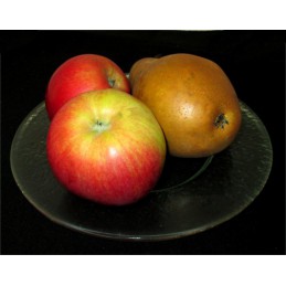 talíř kulatý čirý (ruční práce)